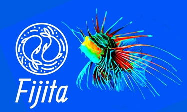 Fijita.com - Creative brandable domain for sale